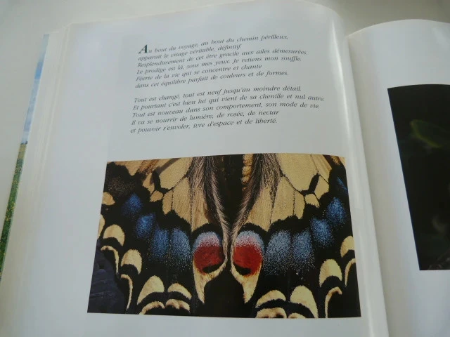 en chemin amédée besset – photo 2